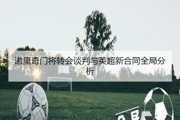 诺里奇门将转会谈判与英超新合同全局分析